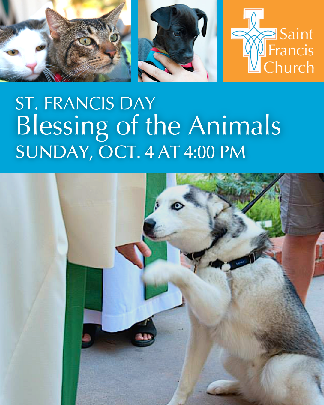 Blessing of the Animals